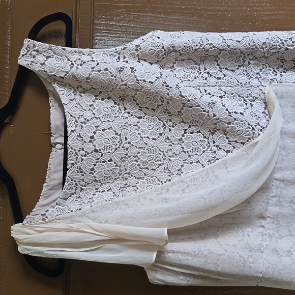 Ann Taylor-Beige lace sheath dress with chiffon overlay on right side Sz 16P - Picture 2 of 8